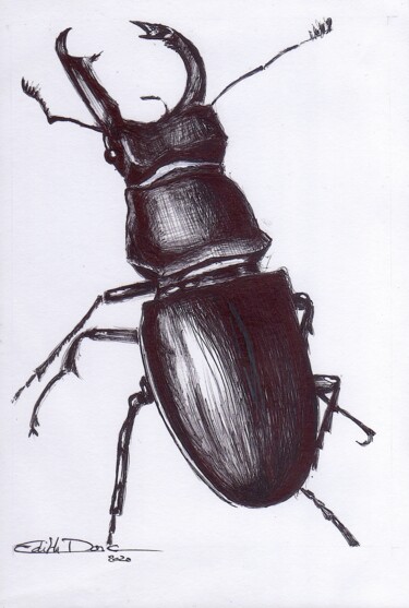 Lucanus Cervus